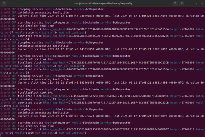 Gig Preview - Sei private node, rpc link, on a bare metal server on sei chain