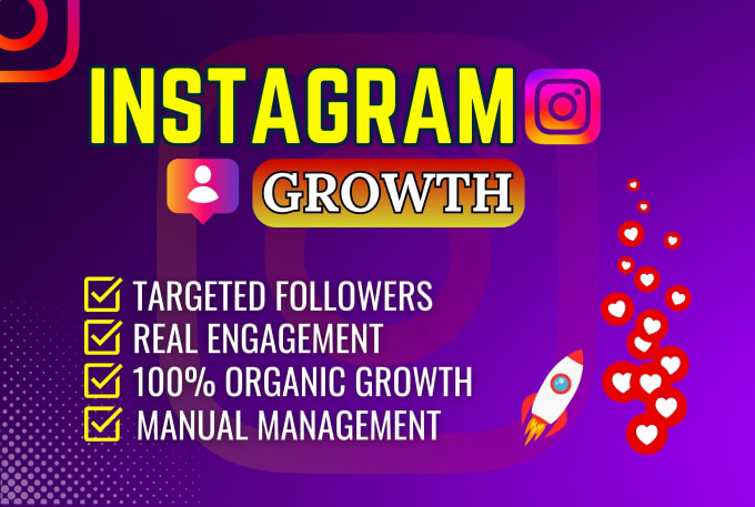 Gig Preview - Do instagram organic growth with super fast increased followers