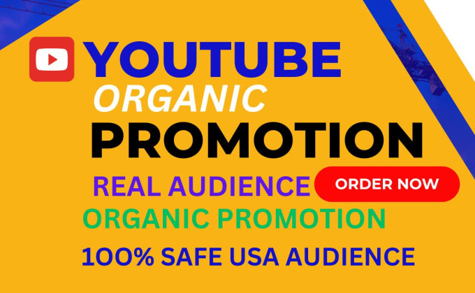 Gig Preview - Do organic youtube video promotion