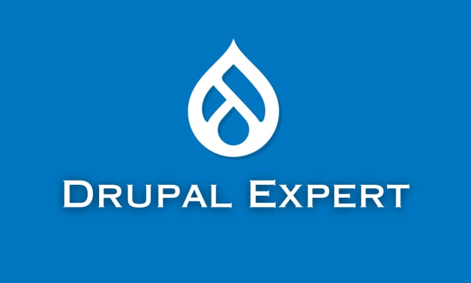 Gig Preview - Provide drupal website development services