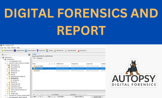 Gig Preview - Digital forensics and report