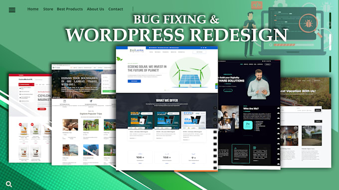 Bestseller - fix wordpress bugs and be wordpress expert