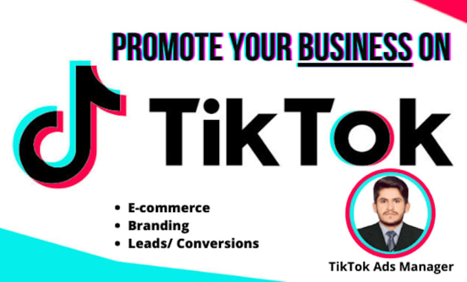 Gig Preview - Run profitable tiktok ads campaign for you