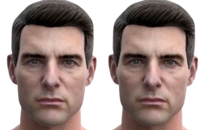 Gig Preview - Make hyper realistic 3d face models likeness, 3d head character model