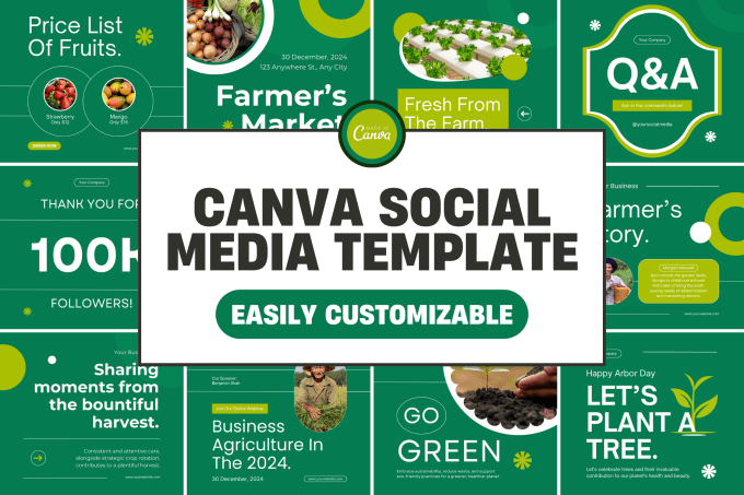 Gig Preview - Create editable canva template instagram and social media