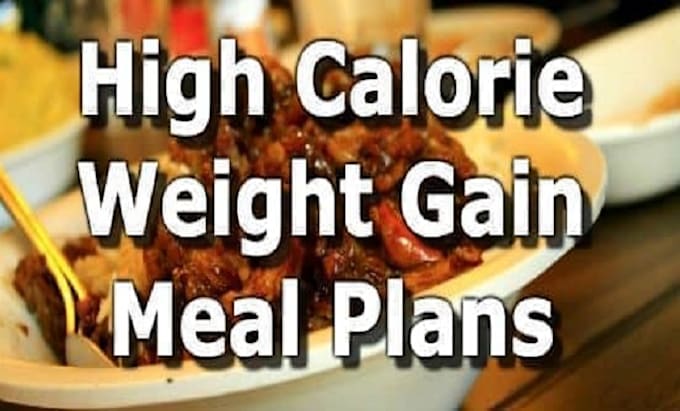 Gig Preview - Make you a weight loss meal plan