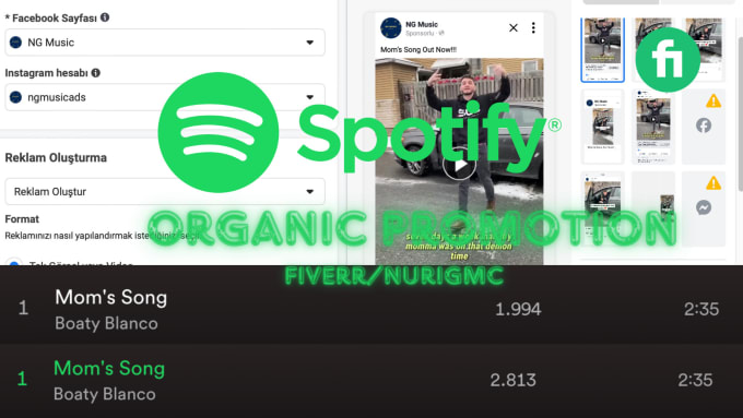 Gig Preview - Do organic spotify promotion for spotify music