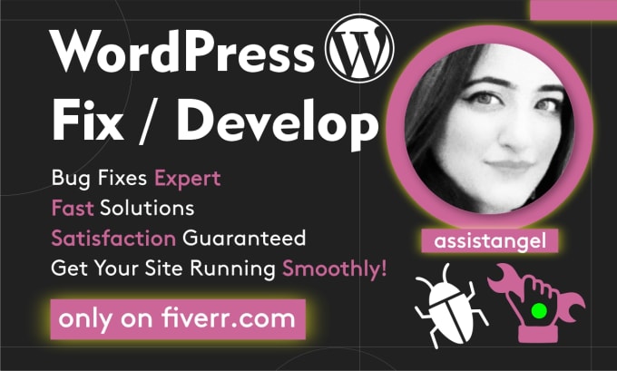 Gig Preview - Develop or fix your wordpress website