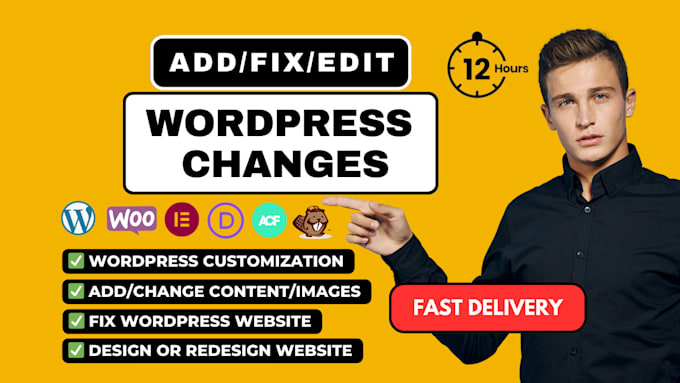 Gig Preview - Quickly make changes, edit and update or customize wordpress website in 12 hours