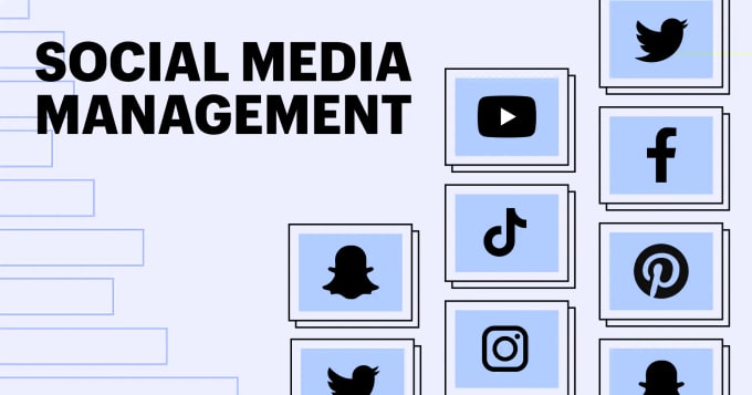 Gig Preview - Be your pro social media manager