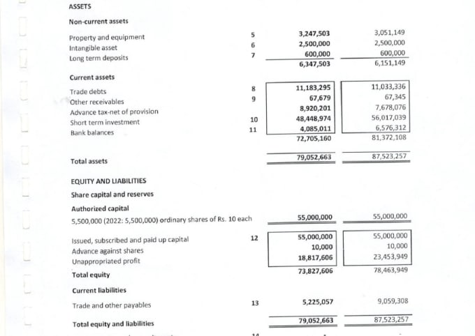 Gig Preview - Prepare financial statements, balance sheet, profit and loss