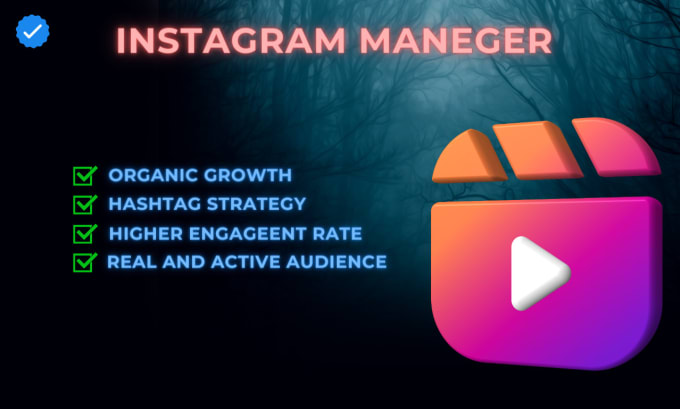 Bestseller - manage and grow your instagram account organically