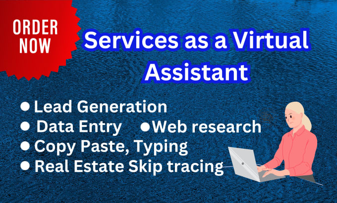 Gig Preview - Virtual assistant for data entry, real estate skip tracing,