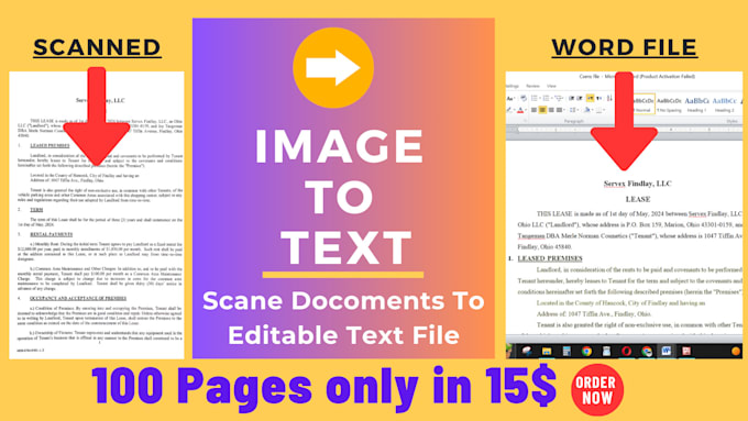 Gig Preview - Convert jpeg  image to text edit scanned documents to word