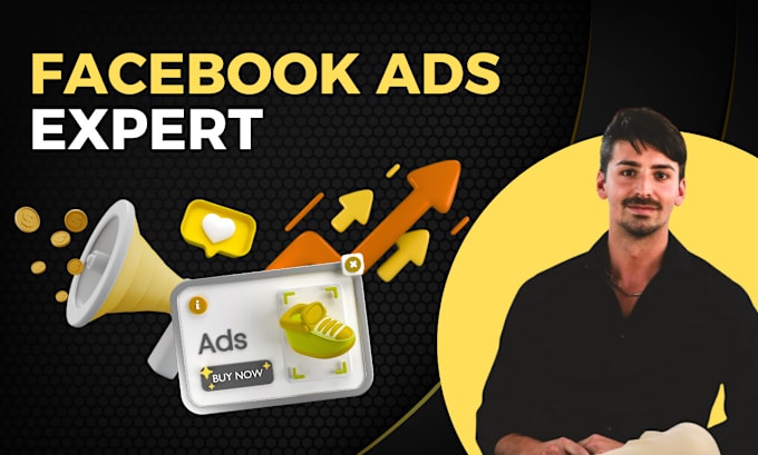 Gig Preview - Expertly manage your facebook ads campaigns