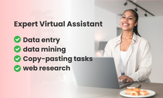 Gig Preview - Be virtual assistant for data entry, data mining  and web research