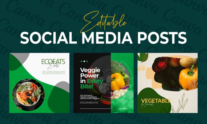 Gig Preview - Use canva to create editable social media templates and instagram post