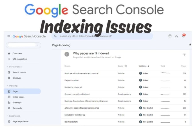 Gig Preview - Fix google search console indexing issues