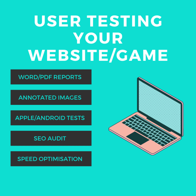 Gig Preview - Perform website user testing analysis