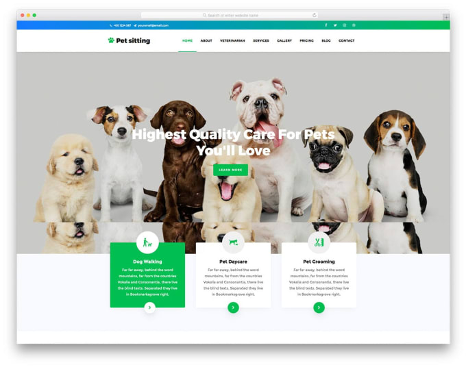 Bestseller - design most profitable pet shopify store pet feed pet product pet care website