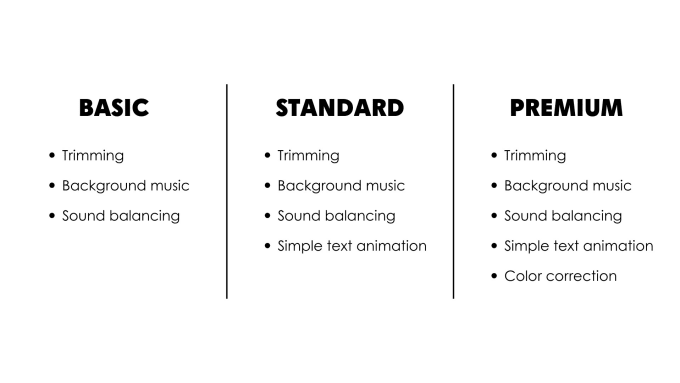 Gig Preview - Do basic video editing in english, chinese and malay