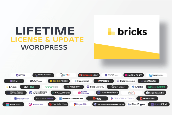 Gig Preview - Install bricks builder with lifetime license and update