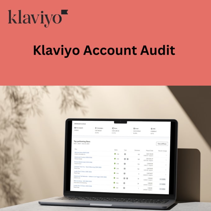 Gig Preview - Audit your klaviyo account and optimize for maximum ROI