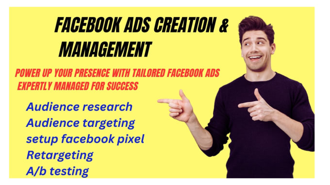 Gig Preview - Create, manage and optimize your facebook ads campaign