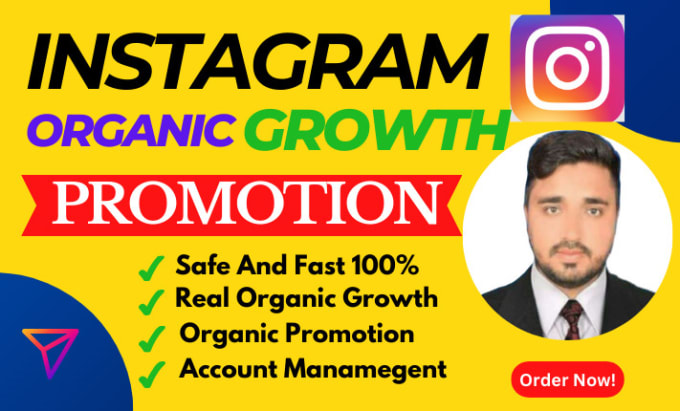 Gig Preview - Do super fast organic instagram promotion growth and marketing management