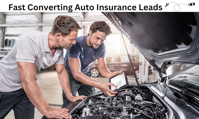 Gig Preview - Generate fast converting auto insurance leads, auto leads, auto insurance leads