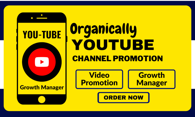 Gig Preview - Do organic youtube video promotion and channel marketing by social media