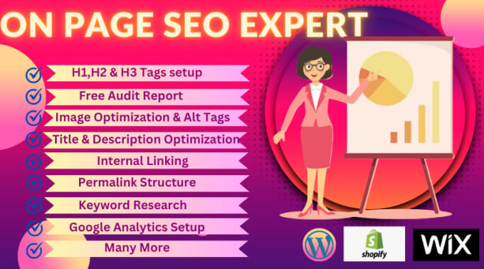 Gig Preview - Provide on page SEO services for your wordpress site