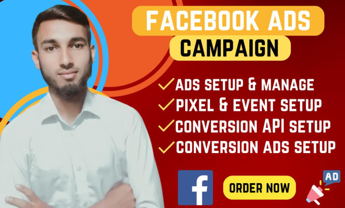 Gig Preview - Facebook and instagram create and manage ads campaign