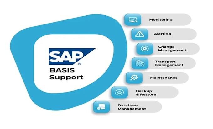 Gig Preview - Assist you with sap b1 administration, b1 reporting and b1 analysis task