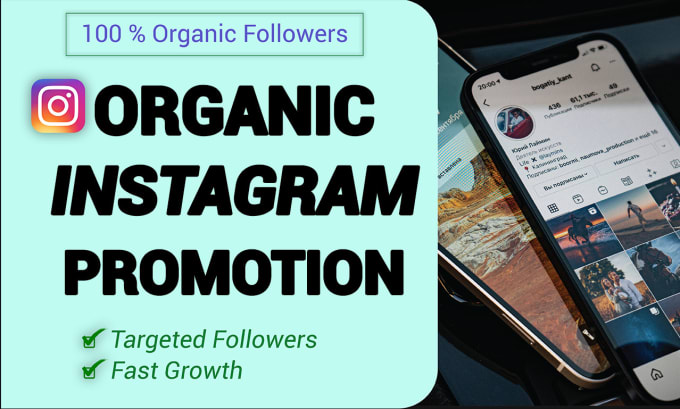 Gig Preview - Do super fast instagram organic growth service for instagram promotion