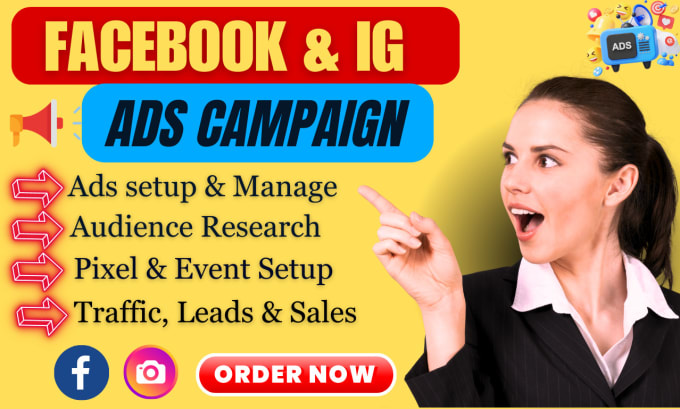 Gig Preview - Set up and manage your facebook and instagram ads campaign