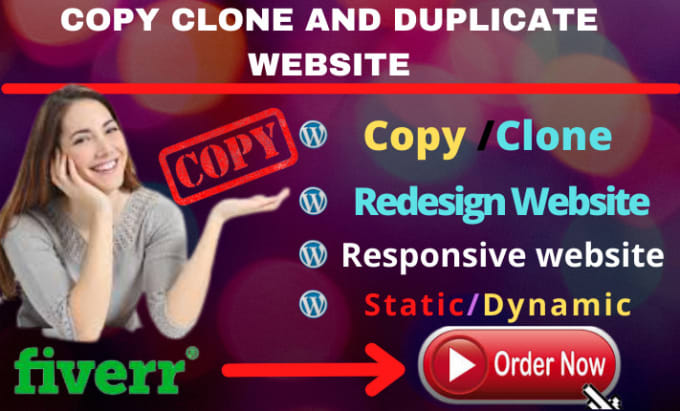 Gig Preview - Copy, clone or duplicate any website