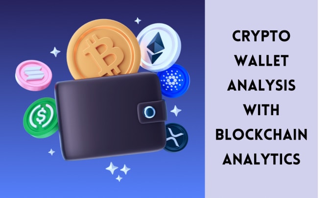 Gig Preview - Conduct crypto wallet investigation and blockchain analytics