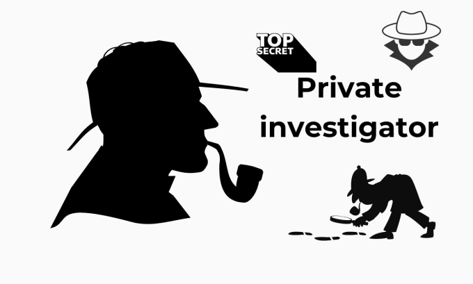 Gig Preview - Be your private investigator osint specialist professional background checks