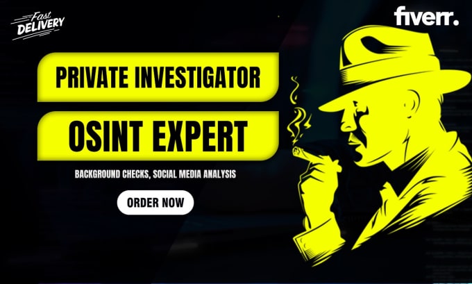 Gig Preview - Be your professional osint, private investigator expert, and background check