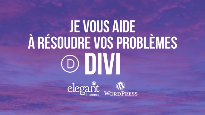 Gig Preview - Vous aidez avec votre site wordpress divi résoudre vos bugs