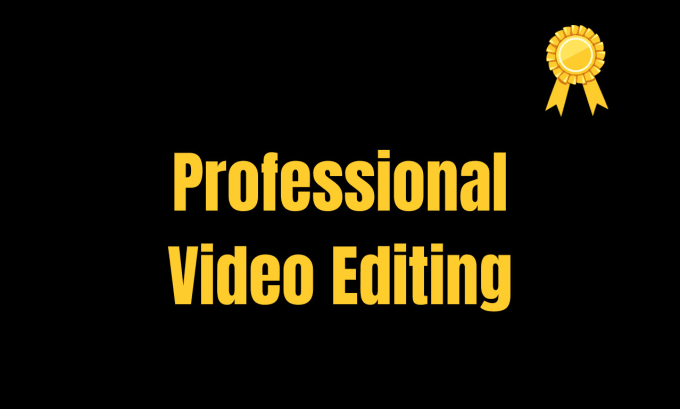 Gig Preview - Edit your videos professionally within 24 hours