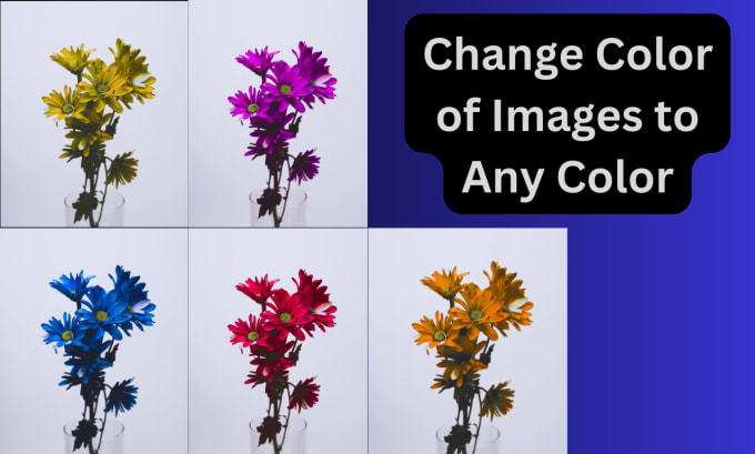 Gig Preview - Change the colors of objects in the images