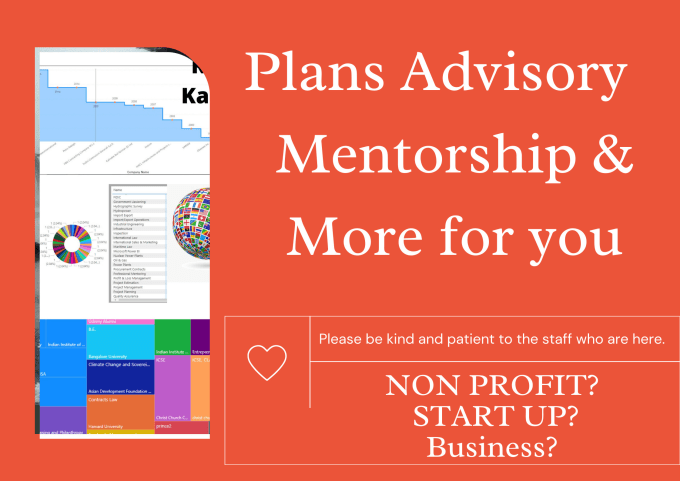 Gig Preview - Startup or nonprofit advisory plan with mentoring