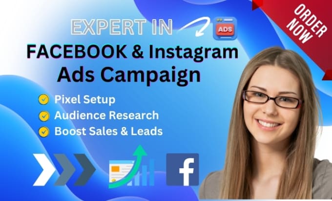 Gig Preview - Set up facebook and instagram ads campaign