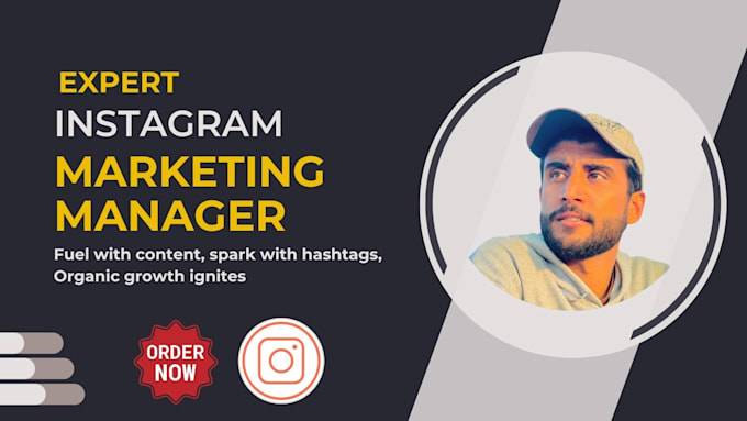 Gig Preview - Be your expert instagram manager to grow account organically