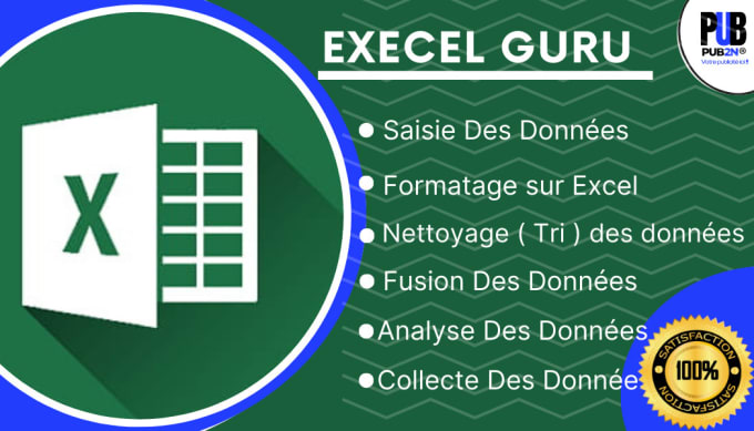 Gig Preview - Do excel data entry, cleaning, formatting, merging, and analysis in less than 24