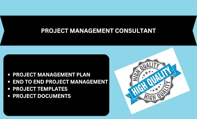 Gig Preview - Do project planning, project management, and project plans