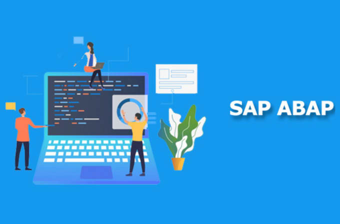 Gig Preview - Provide sap abap consultation, developments and support