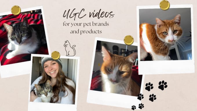 Gig Preview - Create ugc for your cat products or cat brand